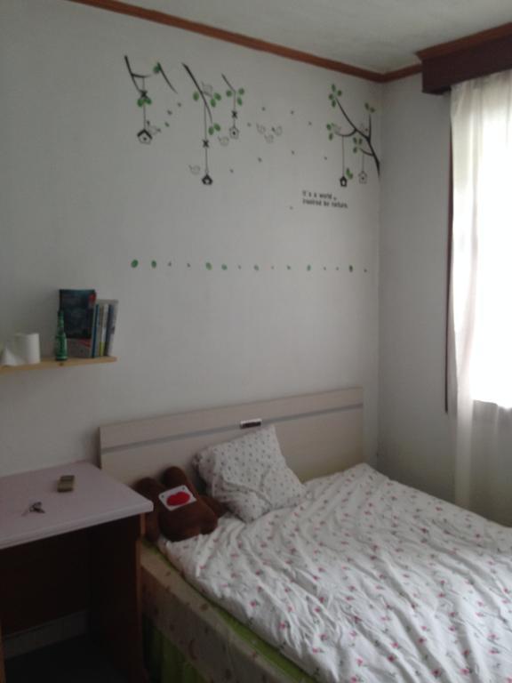 Shenzhen Pioneer Apartment 객실 사진